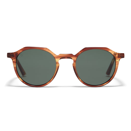 Oxford Sunglasses