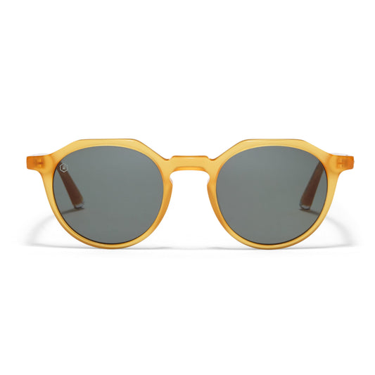 Oxford Sunglasses